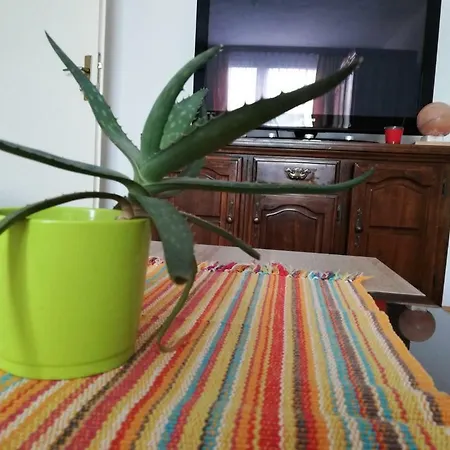 Apartamento Apartman Meri *